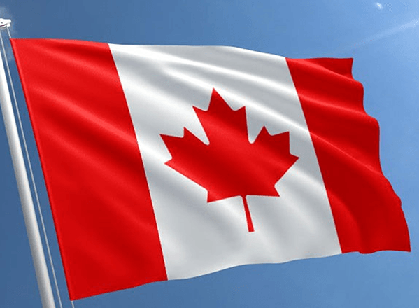 Supervision the only continuous driver license monitor solution available in Canada and United States. Canadian Flag.