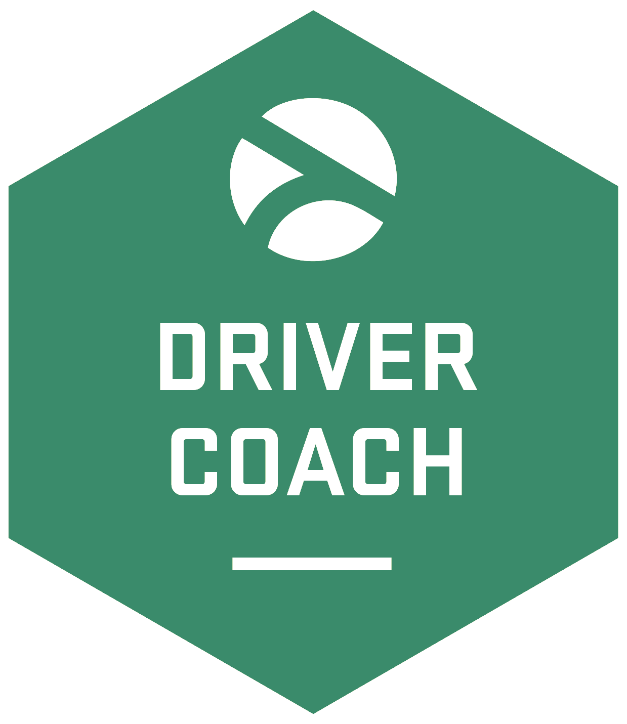Driver Coach Driver Training